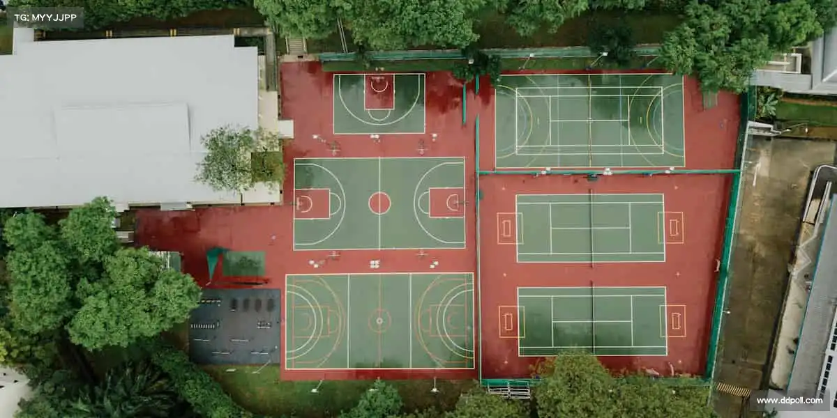 <strong>星空电竞</strong>🤾‍♂️团队协作，让胜利的欢呼响彻整个球场！